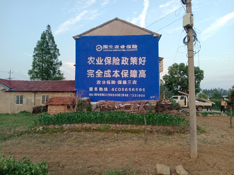 富顺墙体广告的优劣势你知道吗？